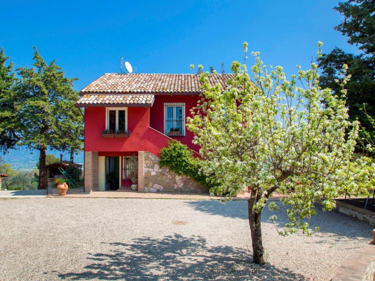 Collemancio Holiday Home La Letizia By Interhome מראה חיצוני תמונה
